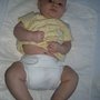 Photo of Eco-Baby Cloth Diaper Service