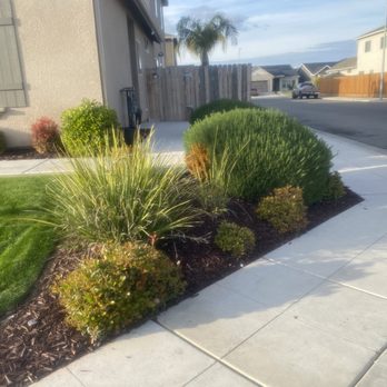 Carlos Garcia Yard Services - Part of the lawn freshly cut - Lawn Services Near Me Carlos Garcia Yard Services - Part of the lawn freshly cut - Lawn Services Near Me