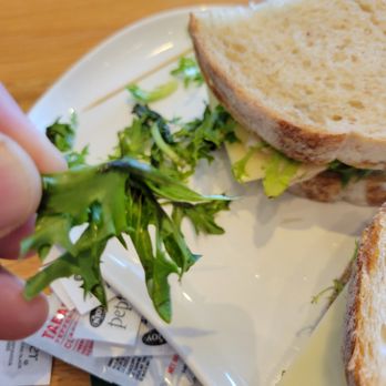 Panera Bread - lettuce going bad and already getting slimy - Sandwiches Near Me - Salina, Kansas