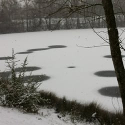 Balade Au Bord Du Touch - Le lac du Vieux Pigeonnier à Tournefeuille bien gelé