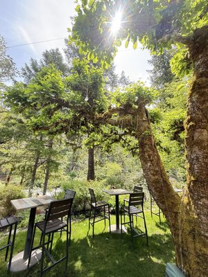 Steamboat Inn by null