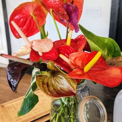 Espresso Mafia - Fresh flowers (8/27/25)