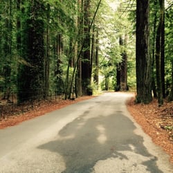 Bohemian Grove - Just outside the entrance.