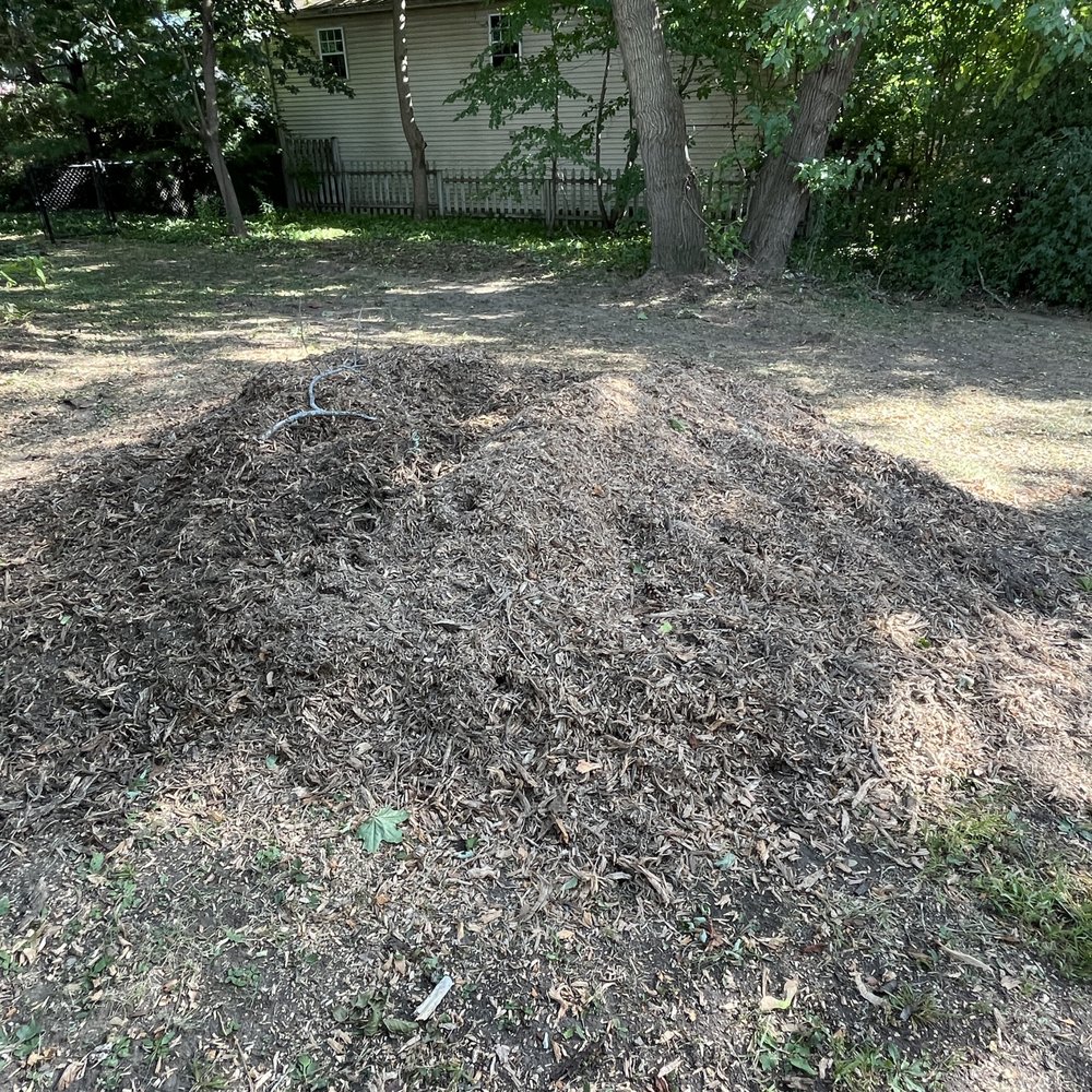 Arbor Green Tree Service - Tree Services Near Me - North Chicago, Illinois