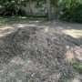 Photo of Arbor Green Tree Service