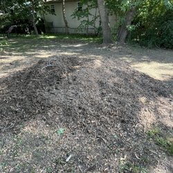 Arbor Green Tree Service