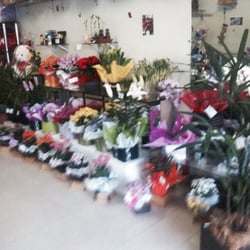 Floricultura Princess