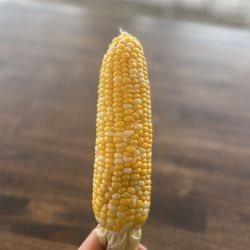 SpitFire - Classic Roasted Corn with Butter & Salt