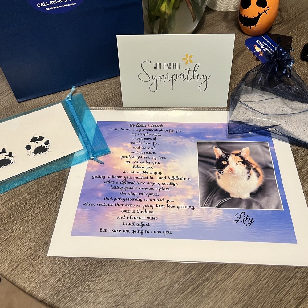 Small Paws Cremations - Pet Cremation Services Near Me - Los Angeles, California Small Paws Cremations - Pet Cremation Services Near Me - Los Angeles, California