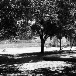 Lake Daniel Park
