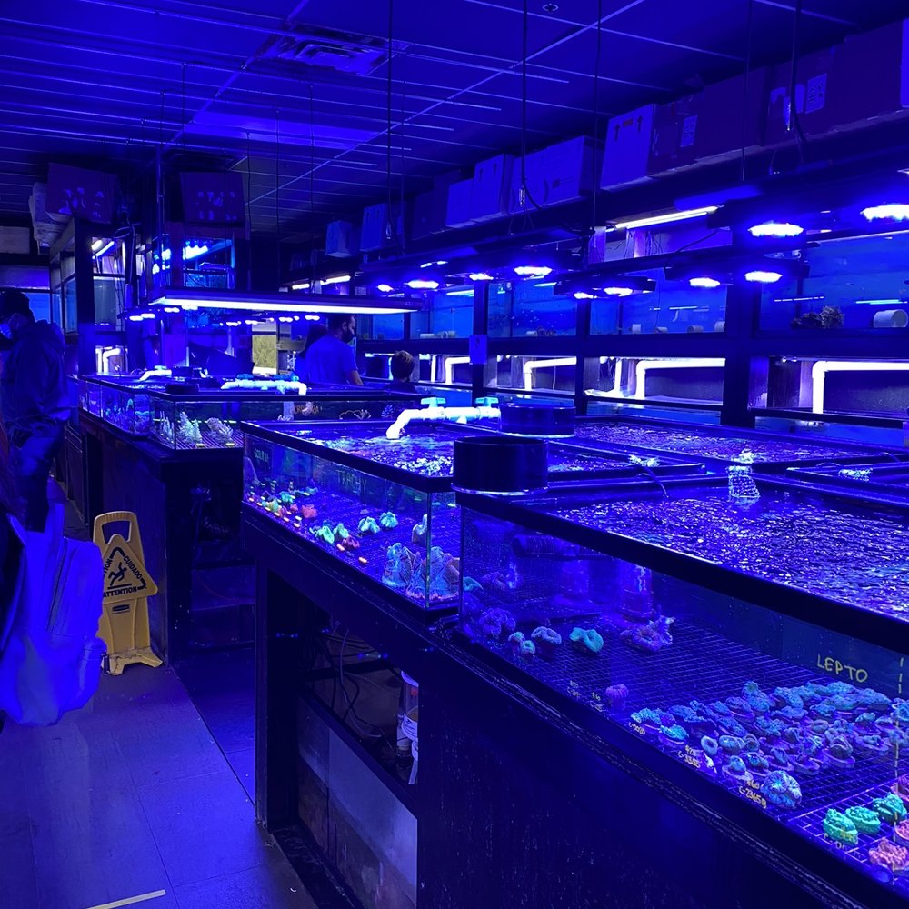 J & L Aquatics - Pet Stores Near Me - Burnaby, British Columbia