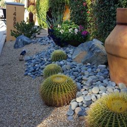 Low Desert Lawn Care
