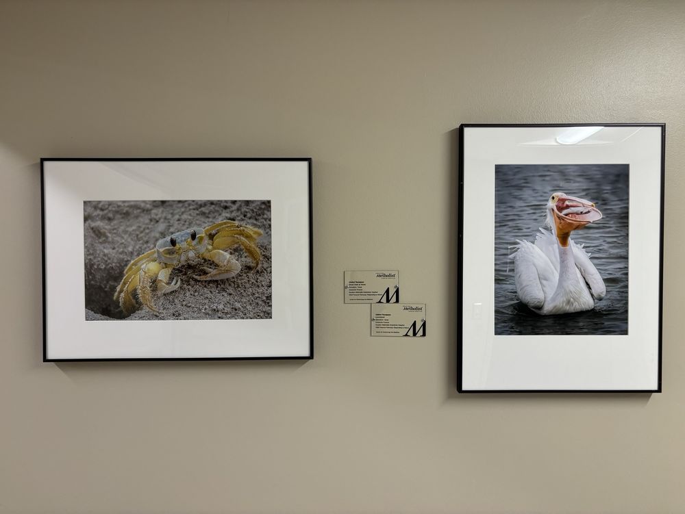 Houston Methodist Clear Lake Hospital - patient advocate in Houston, TX