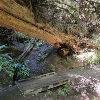 Trillium Falls Trail - Hiking Near Me