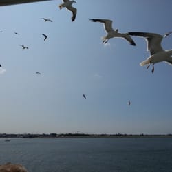 Texel