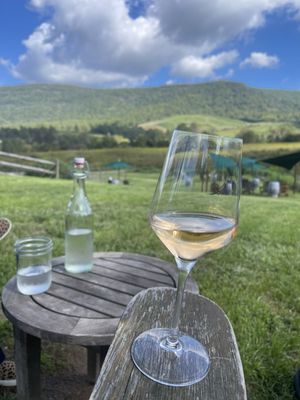 Glen Manor Vineyards by null