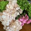 Fioravanti Florist gift card