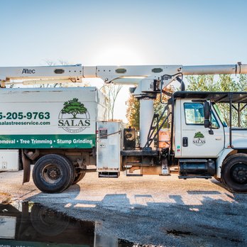 Salas Tree Service - Tree Services Near Me - Bethany, Oklahoma Salas Tree Service - Tree Services Near Me - Bethany, Oklahoma
