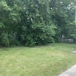 Tae Lawn Mower - Backyard freshly cut
