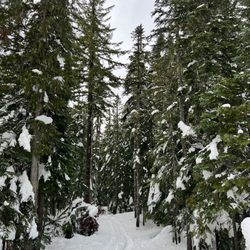 Enid Lake Trail - Enid Lake Loop from Gov't Camp