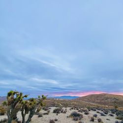 Goodsprings Trailhead