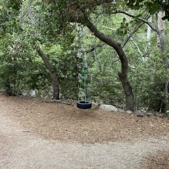 Santa Barbara Botanic Garden - A tire swing - Botanical Gardens Near Me - Santa Barbara, California Santa Barbara Botanic Garden - A tire swing - Botanical Gardens Near Me - Santa Barbara, California