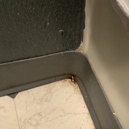 Filthy bathroom. So much dirt. Filthy bathroom. So much dirt.