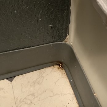 River Inn - Filthy bathroom. So much dirt. - Hotels Near Me - Susanville, California River Inn - Filthy bathroom. So much dirt. - Hotels Near Me - Susanville, California