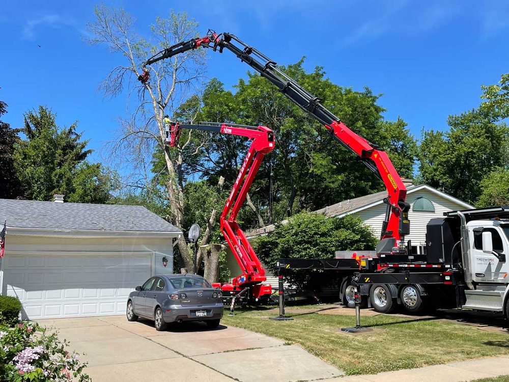 Treewerx - tree service in Cambridge, WI