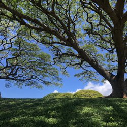Waiau District Park - Yoga day!