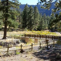 Acastus Trail - The bridge from the Fletcher Canyon trailhead is a connection to an Autumn scene of wildflower blooms and Bristlecone pines.