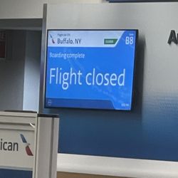 American Airlines - American Airlines