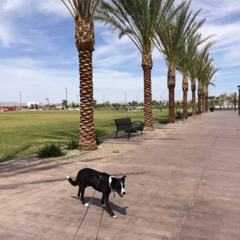 Riverview Park - Lovely landscaping. Great place to walk the dog! - Parks Near Me - Mesa, Arizona