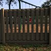 Tillery Park gift card