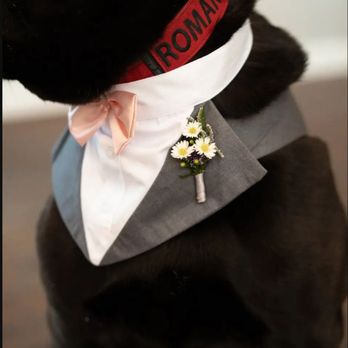 Dream Designs Florists - Florists Near Me
