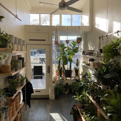 Vida Plant Shop