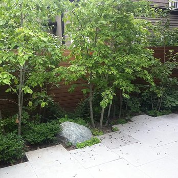 Living Systems Landscaping - a small garden with a rock and trees - Landscaping Near Me Living Systems Landscaping - a small garden with a rock and trees - Landscaping Near Me