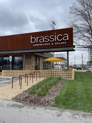 Brassica in Upper Arlington by null