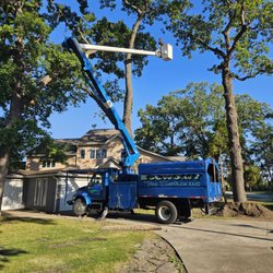 Economy Tree Service