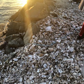 Taylor Shellfish Farms - Shells in the ground - Seafood Markets Near Me - Bow, Washington Taylor Shellfish Farms - Shells in the ground - Seafood Markets Near Me - Bow, Washington