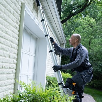 Holiday Termite & Pest Control - Inspecting a gutter for pest entry. - Pest Control Near Me - Springfield, Virginia Holiday Termite & Pest Control - Inspecting a gutter for pest entry. - Pest Control Near Me - Springfield, Virginia