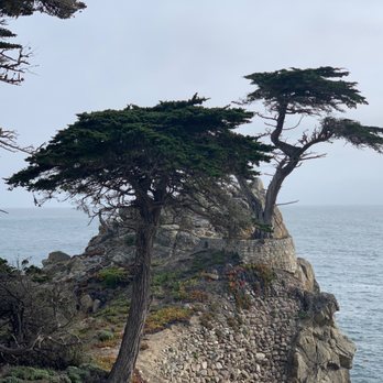 The Lone Cypress - Landmarks & Historical Buildings Near Me - Del Monte Forest, California
