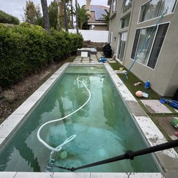 before - algae