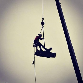 Freedom Tree - Tree Services Near Me