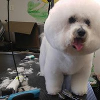 Pet Styling By Kayden - Pet Groomers Near Me - Gibsonville, North Carolina Pet Styling By Kayden - Pet Groomers Near Me - Gibsonville, North Carolina