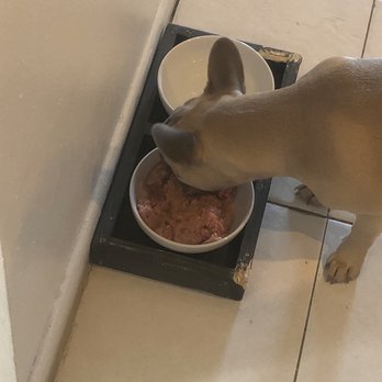 Raw and Kibble - She loves her raw food! - Pet Stores Near Me - Miami, Florida