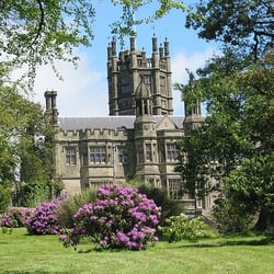 Margam Country Park - Http://www.npt.gov.uk/default.aspx?page=1371