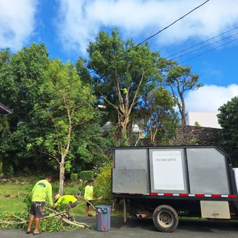 Triple A Tree Care - Tree Services Near Me Triple A Tree Care - Tree Services Near Me