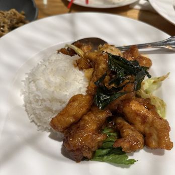 TK Noodle Cafe - Thai Near Me - Lynnwood, Washington TK Noodle Cafe - Thai Near Me - Lynnwood, Washington