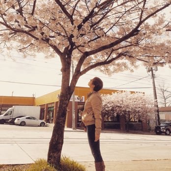 Essensuals London - Amazing hair cut! Just in time for spring! - Hair Salons Near Me - Seattle, Washington Essensuals London - Amazing hair cut! Just in time for spring! - Hair Salons Near Me - Seattle, Washington
